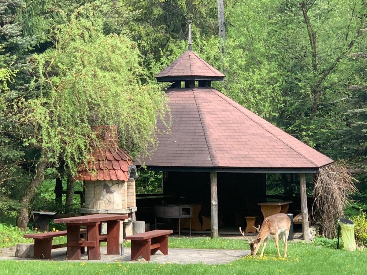 Bed and Breakfast Gosciniec Pod Smrekami Czorsztyn Exterior foto